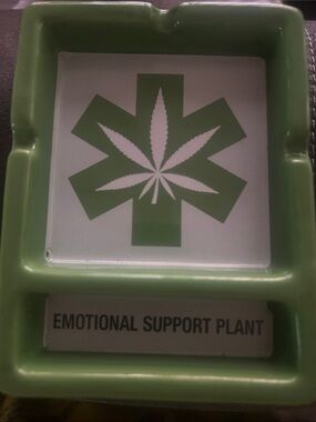 Ashtray emotional support plant